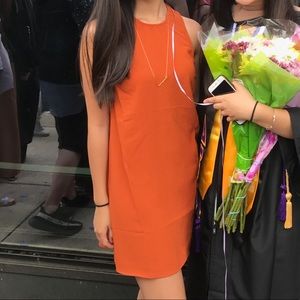 American Apparel Dakota Dress